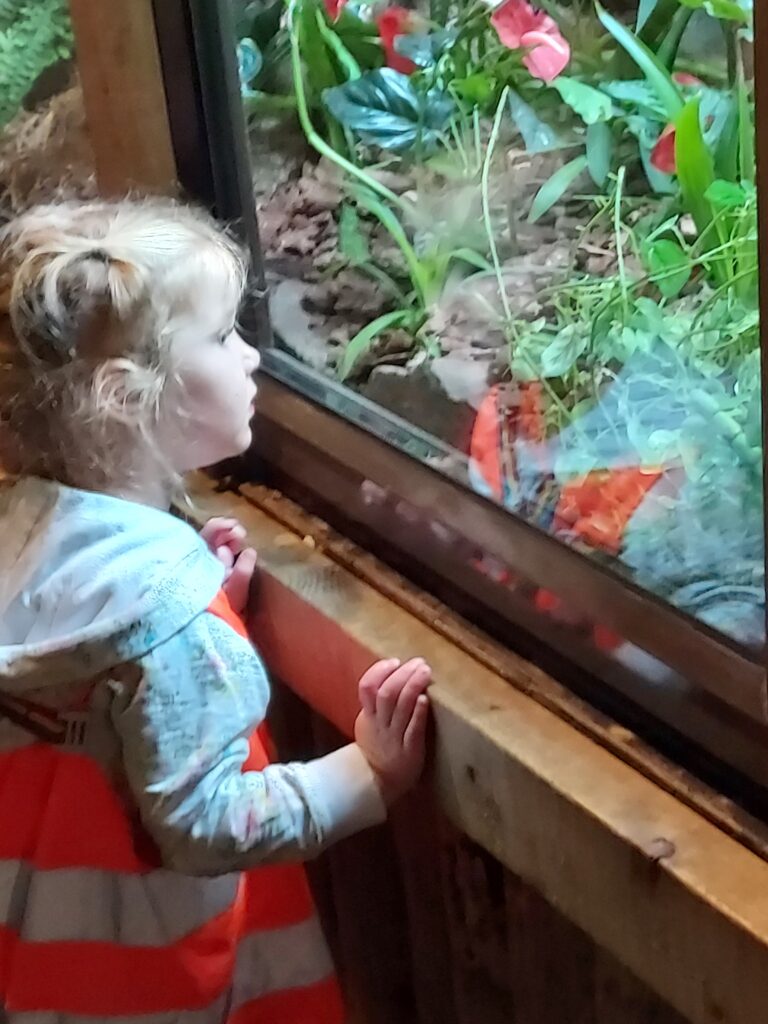 Dudley zoo trip 2025